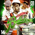 Georgia Bulldogs 14 mixtape cover art