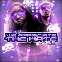 We Appreciate The Hate 20.5 mixtape cover art