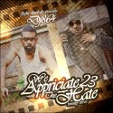 We Appreciate The Hate 23 mixtape cover art