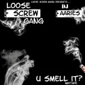 Loose Screw Gang - U Smell It? mixtape cover art