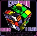 Common - S.T.O.R.Y. (Stories Told Over Remixed Years) mixtape cover art