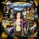 The Best Mixtape Series mixtape cover art