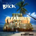 Brick - The Pleasures Of Paradise mixtape cover art