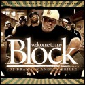 Gangsta Grillz: Block Ent - Welcome To My Block mixtape cover art