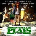 Lil Playboii - Thousand Dollar Plays mixtape cover art