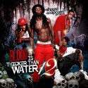Blood Is Thicker Than Water 12 mixtape cover art