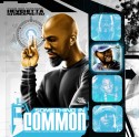 Common & J Dilla - Something In Common mixtape cover art