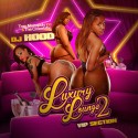 Luxury Lounge 2 (V.I.P. Section) mixtape cover art