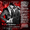 R&B Junkies 13 (Hosted By Verse Simmonds) mixtape cover art