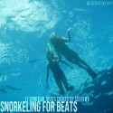 Daniel Scenery - Snorkeling For Beat$ mixtape cover art