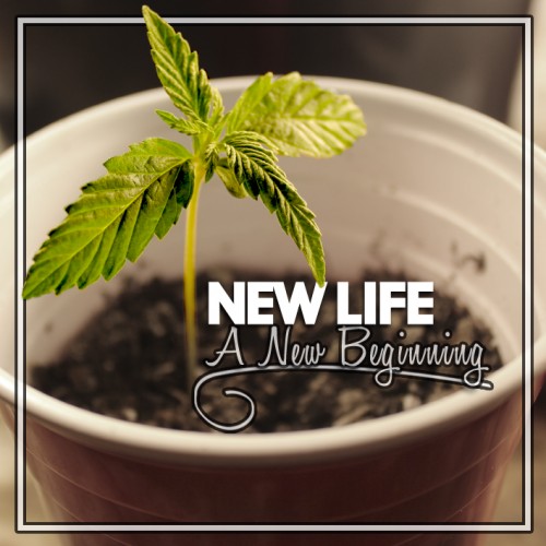 Beginning New Life 39
