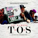 Vic Damone - T.O.S. (Talk of Southside) mixtape cover art