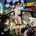 Trina - Amazin' mixtape cover art