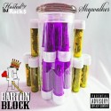 Barton Block - Skywalker mixtape cover art
