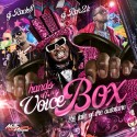 Hands Off My Voice Box (The Tale Of The Autotune) mixtape cover art