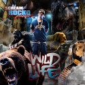 Mixtape cover art