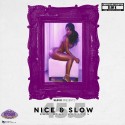 Nice & Slow 45.5 (Bad Girl Edition) (Chopped Not Slopped) mixtape cover art