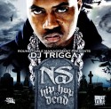 Nas - Hip Hop Is Dead mixtape cover art