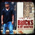 Troy Ave - Bricks In My Backpack (The Harry Powder Story) mixtape cover art