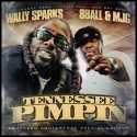 8Ball & MJG - Tennessee Pimpin' (Southern Conference Special Edition) mixtape cover art