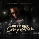 Wize Ent Compilation mixtape cover art